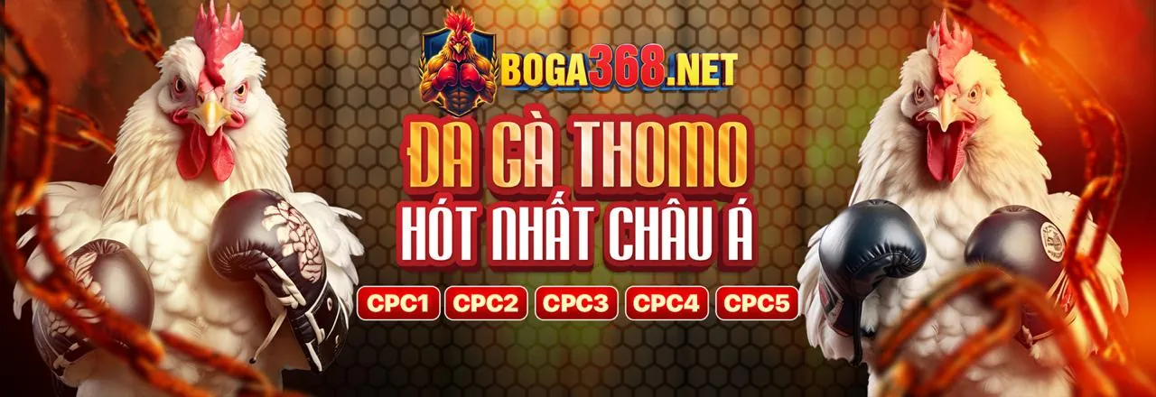Sân vận động đầy ắp khán giả với ánh đèn rực rỡ, biểu tượng cho cá cược thể thao sôi động tại vnd188